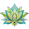 Evolved Medical Spa